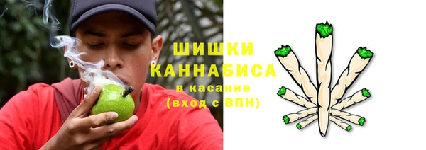 сатива Лихославль