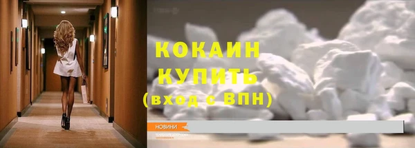сатива Лихославль