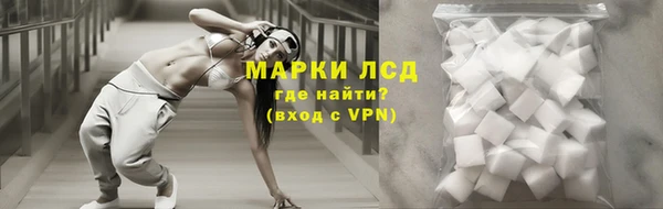 сатива Лихославль