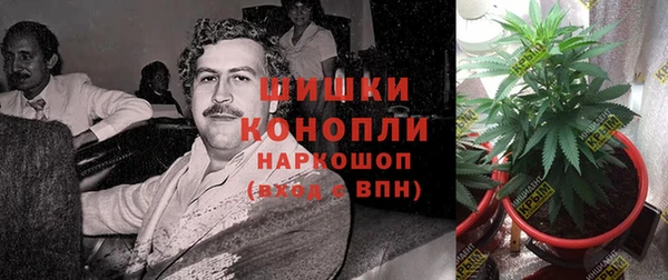 ешки Липки