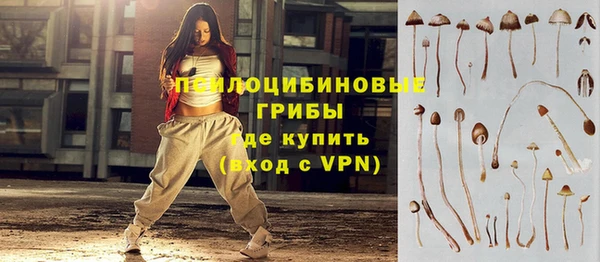 сатива Лихославль