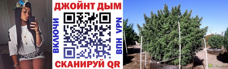 Купить закладки  Плёс  Марихуана план 